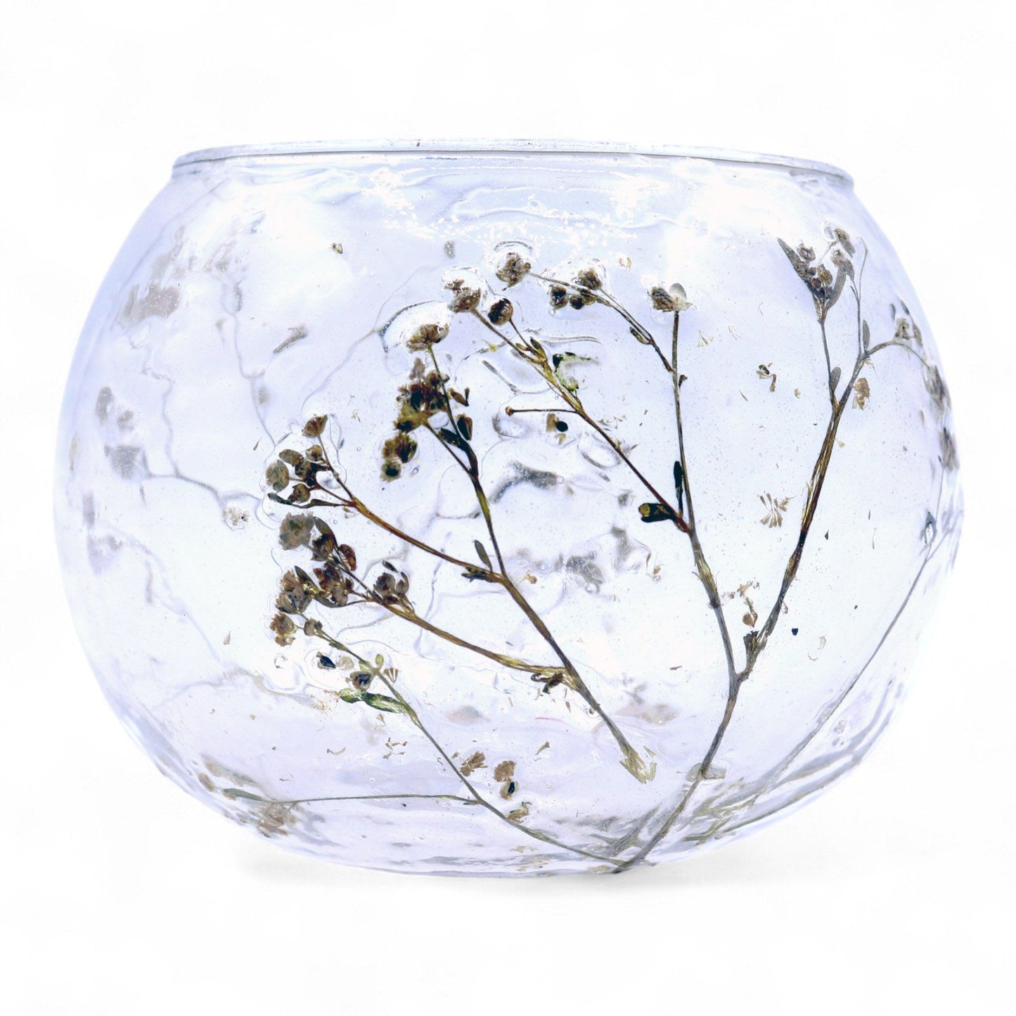 Portavelas de Vidrio floral natural Cuenco - Margarita - (8x10cm)
