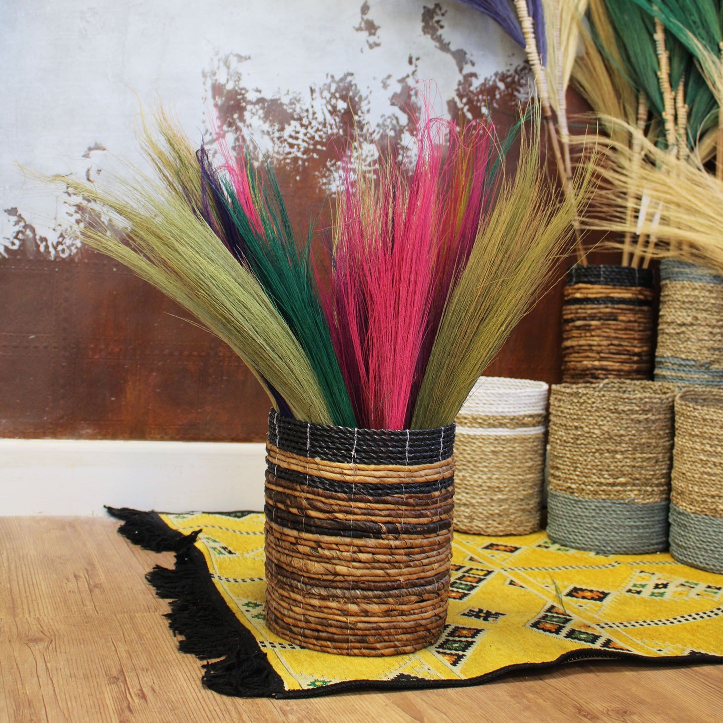 Set 4 - Escoba larga de Pampas - Colors Vivos