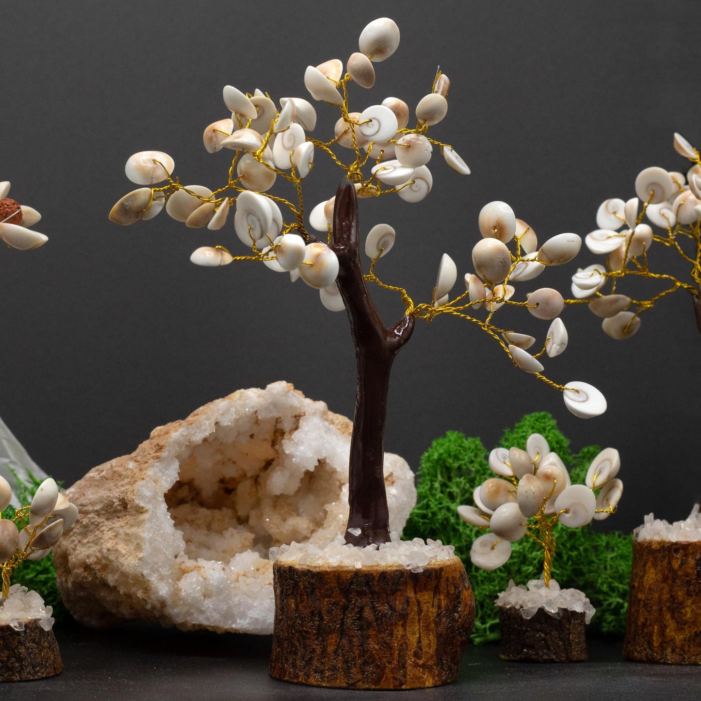 Árbol de Piedras Gomati - 60 piedras