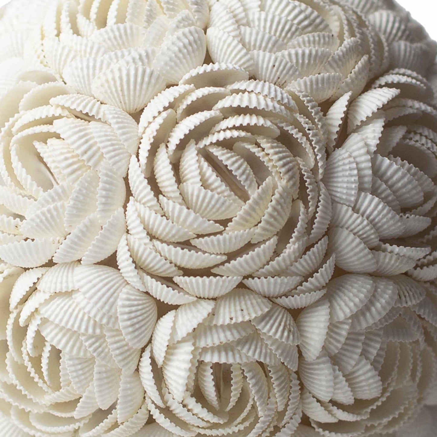 Lámpara Boho Sea Shell - Rosa Ovalada - 15cm