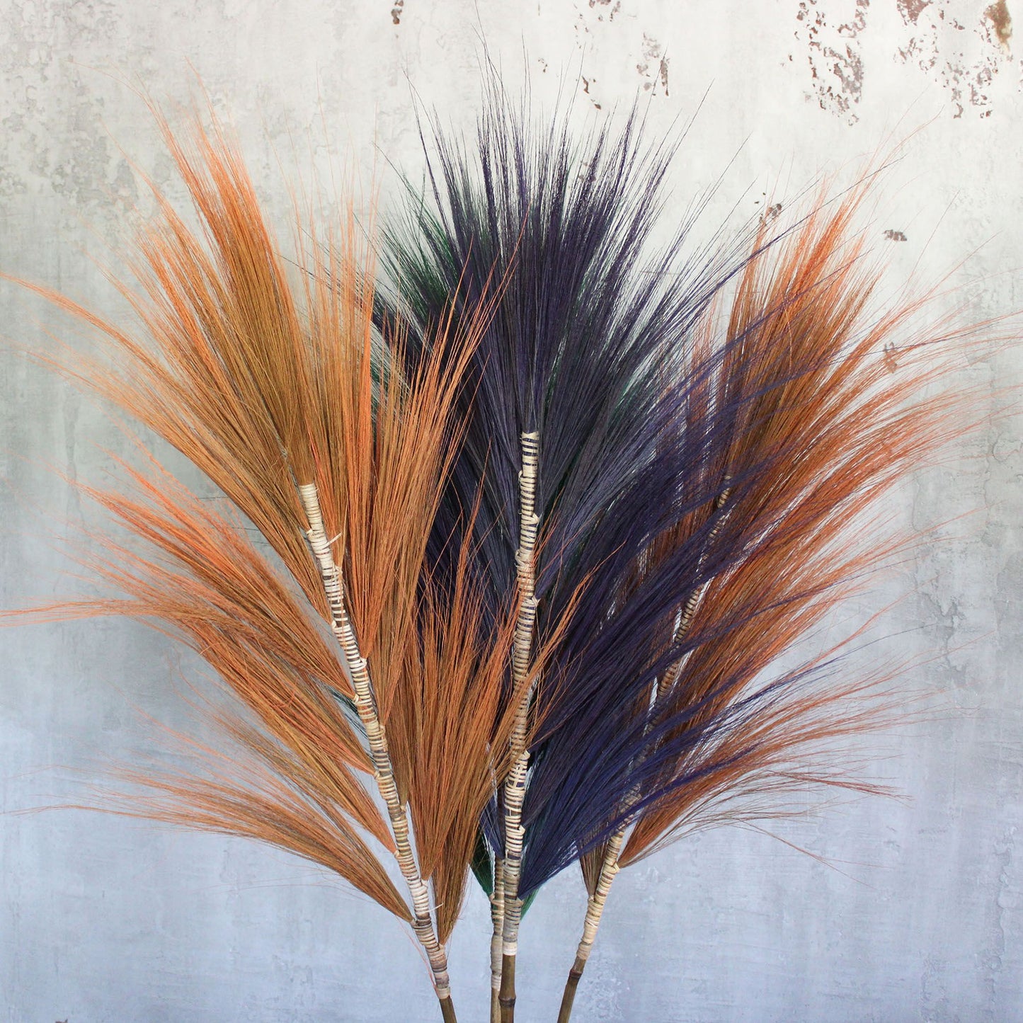 Palmera Lavanda de Rayung - 1.6m