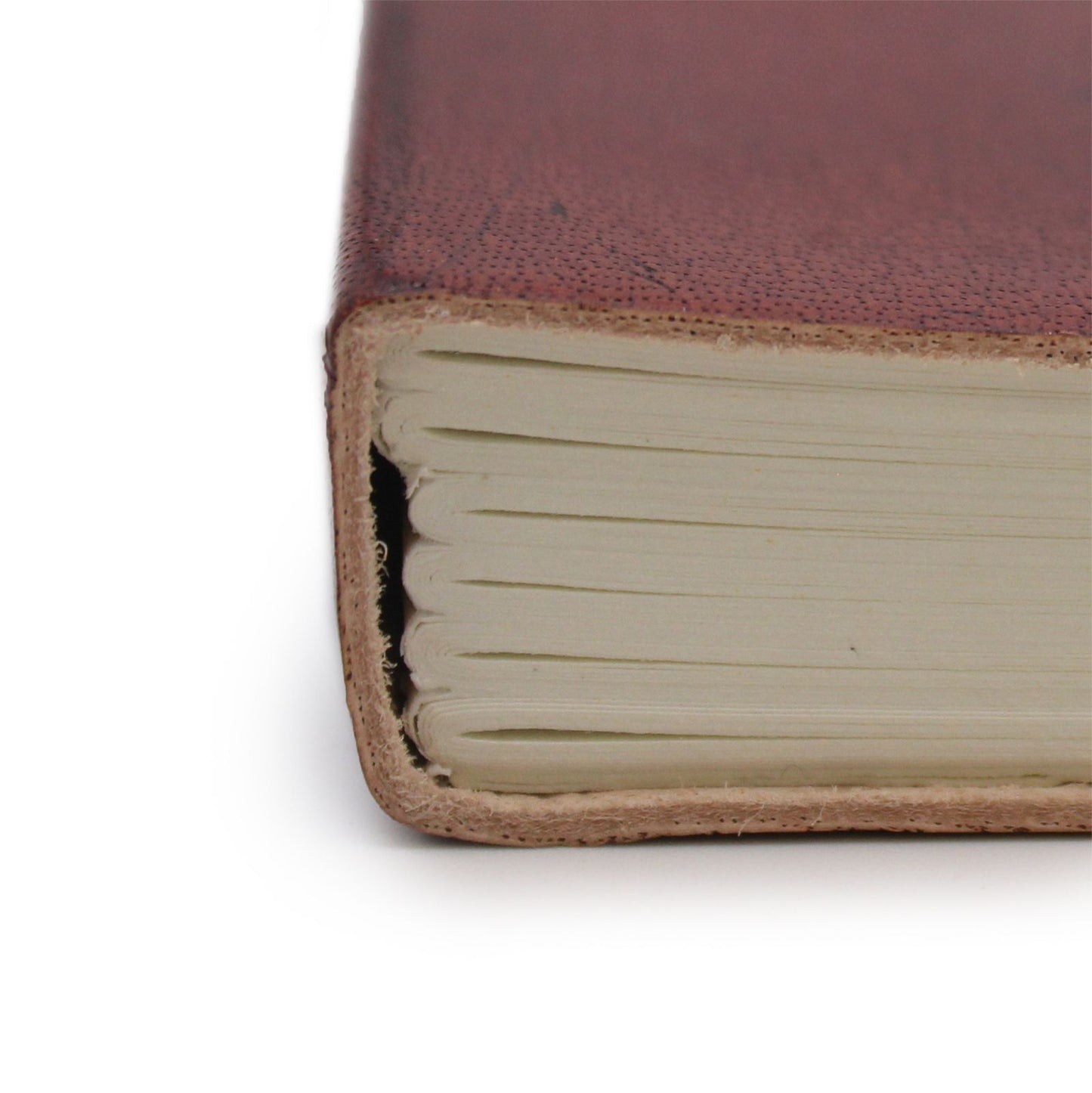Cuaderno mediano con elástico - Árbol de la vida