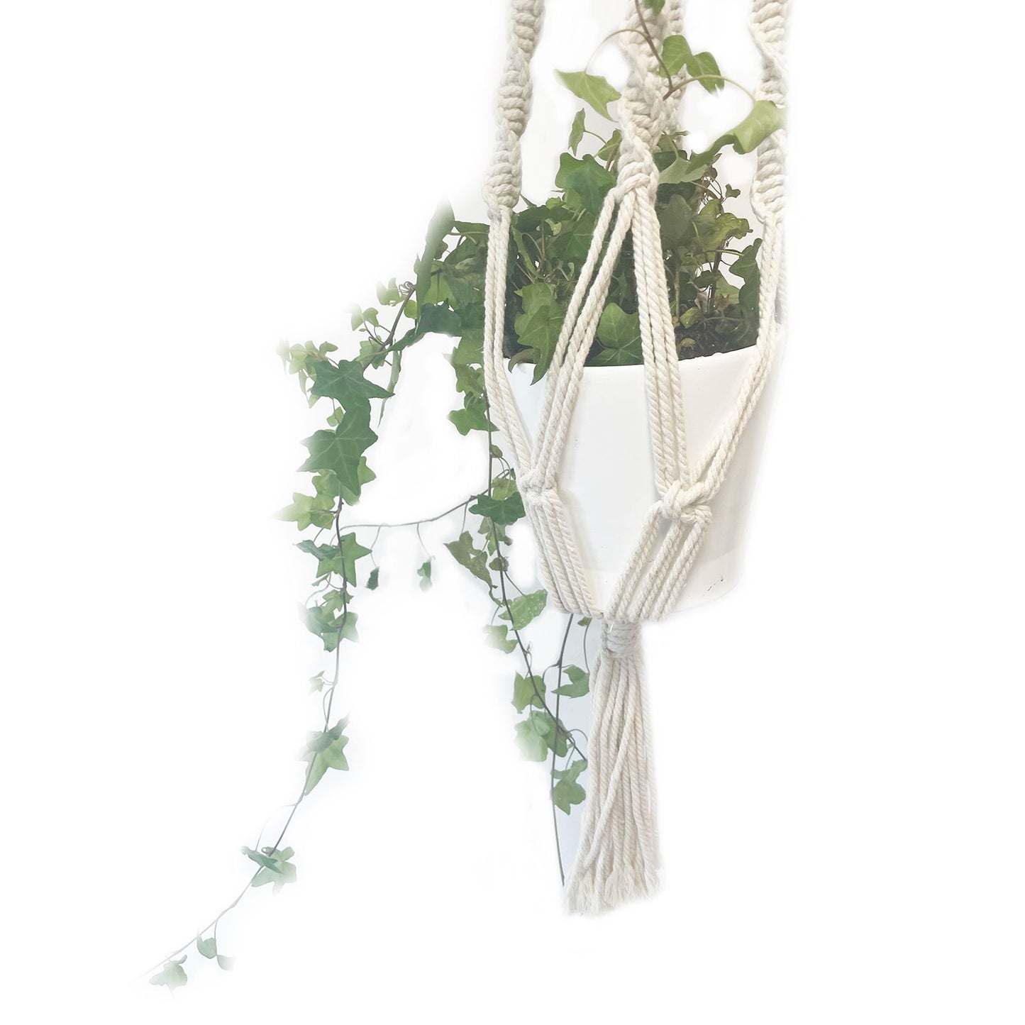 Macetero de Macrame - Gran - Extra largo