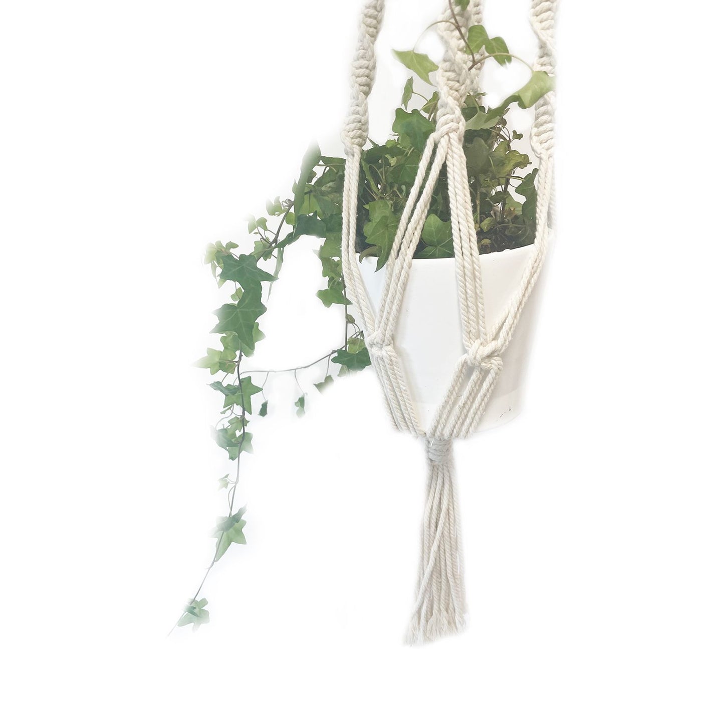 Macetero de Macrame - Gran - Extra largo