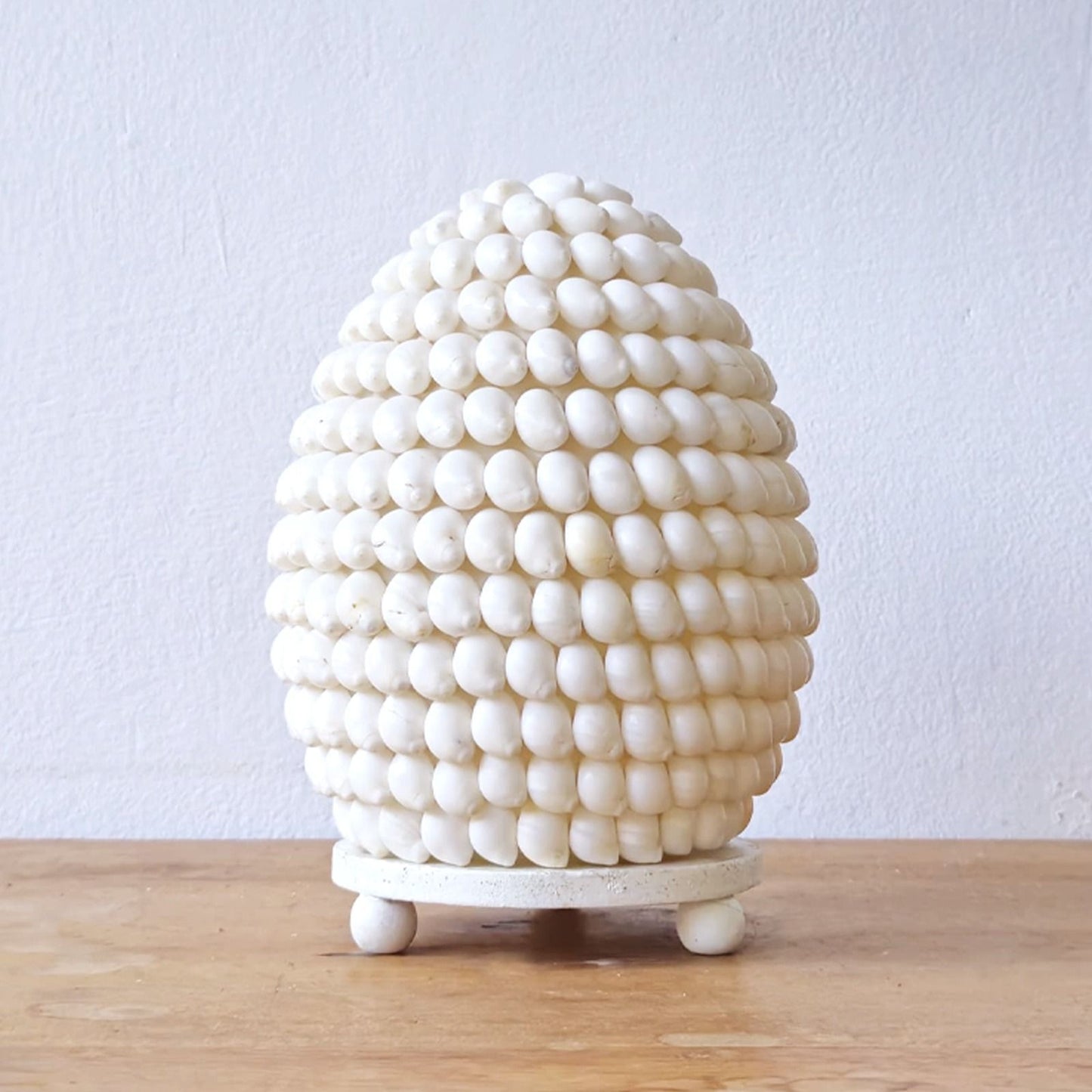Lámpara Boho de Conchas Marinas - Concha Buting Ovalada
