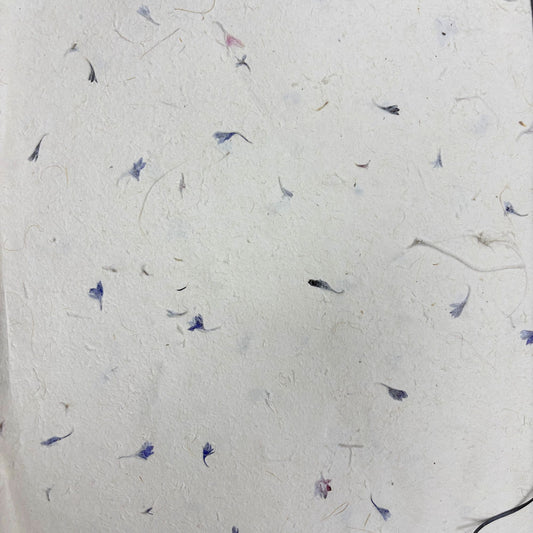Papel Artesanal Lokta - Pétalos de Aciano 51 × 76 cm